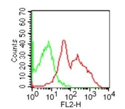 GITR/TNFRSF18 Antibody (DTA-1) - Azide and BSA Free, Novus Biologicals